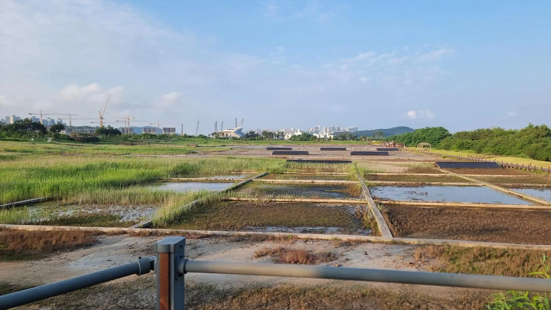 インチョン広域市 Sky Starホステル